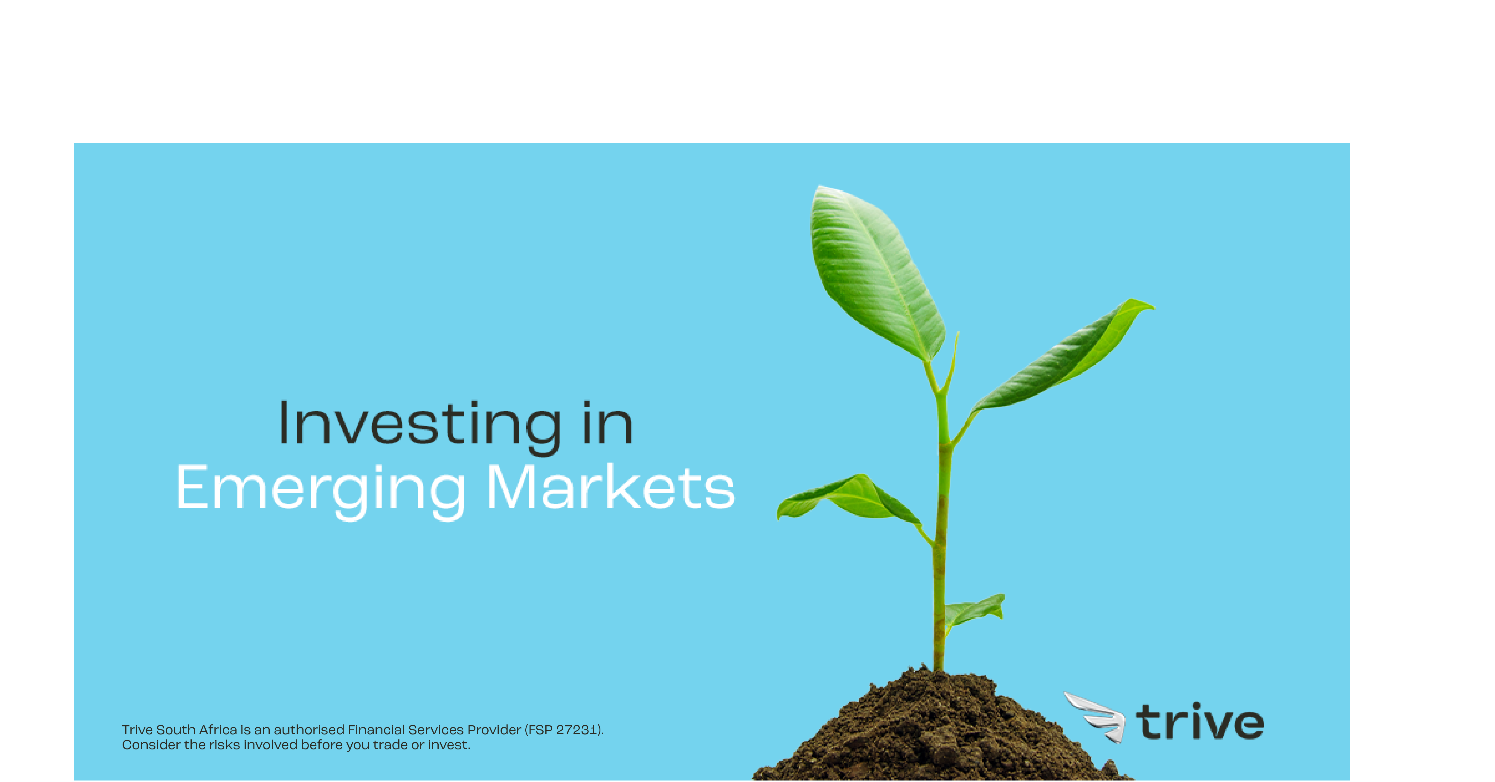 Read more about the article Investing in Emerging Markets