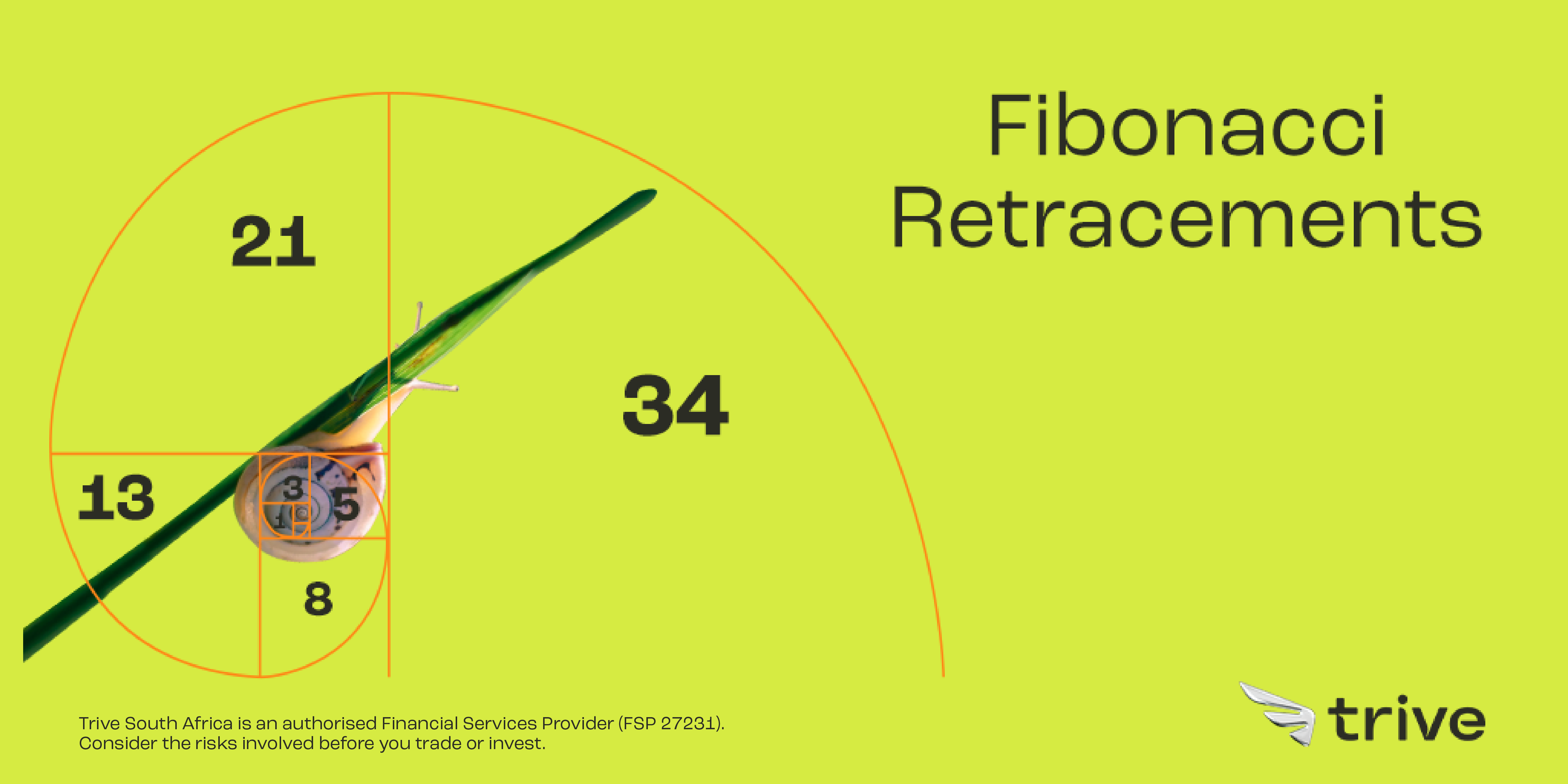 Read more about the article Can Traders Strike Gold with Fibonacci?