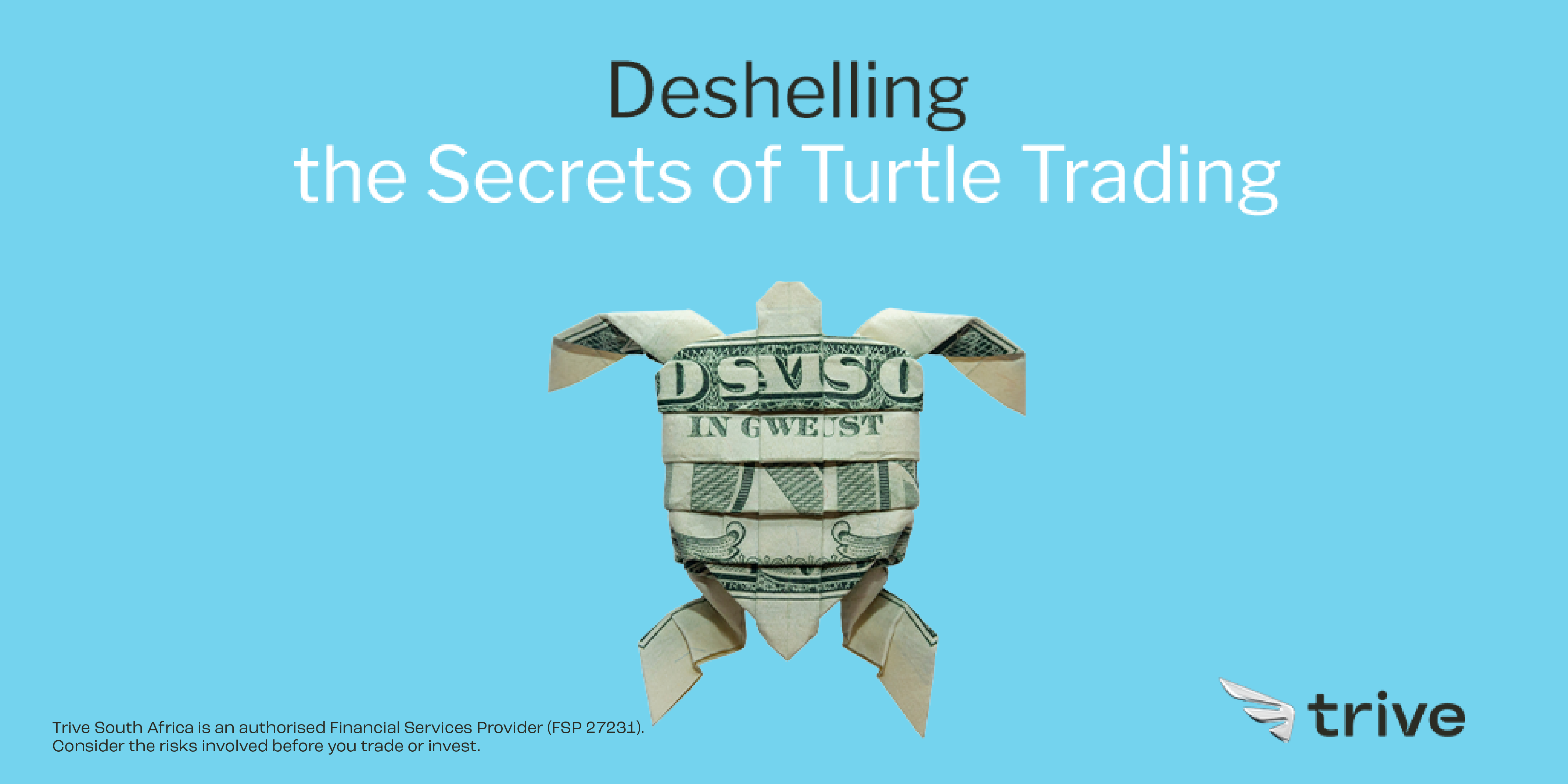 Read more about the article <strong>Deshelling the Secrets of Turtle Trading</strong>