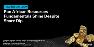Read more about the article Pan African Resources Fundamentals Shine Despite Share Dip