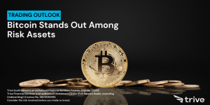 Read more about the article Bitcoin Stands Out Among Risk Assets