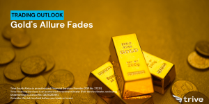Read more about the article Gold’s Allure Fades