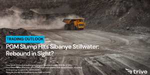 Read more about the article PGM Slump Hits Sibanye Stillwater: Rebound in Sight?