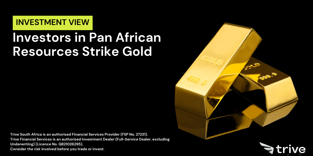 Read more about the article Investors in Pan African Resources Strike Gold