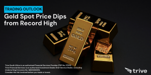 Read more about the article Gold Spot Price Dips from Record High