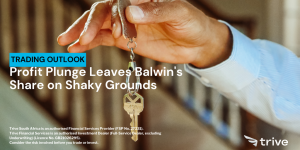 Read more about the article Profit Plunge Leaves Balwin’s Share on Shaky Grounds